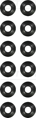 Seal Set, valve stem